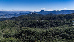 Mar de verdes eternos