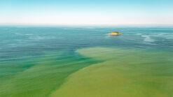 Oceano verde